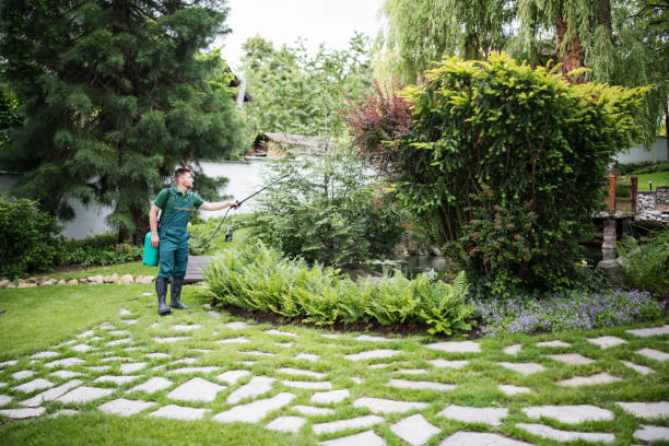 Best Mosquito Control Services  in Kingston Estates, NJ