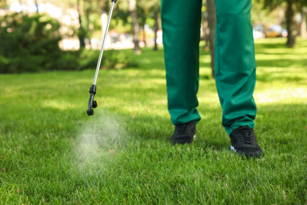 Best Best Pest Control Companies  in Kingston Estates, NJ