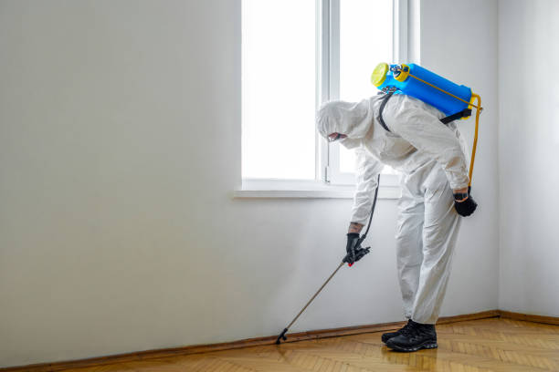 Best Exterminator Services  in Kingston Estates, NJ