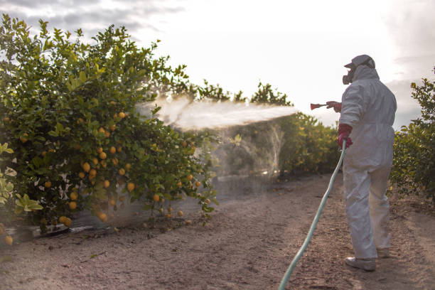 Best Pest Control Near Me  in Kingston Estates, NJ
